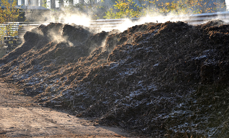 Le tas de compost brun libère de la vapeur le matin