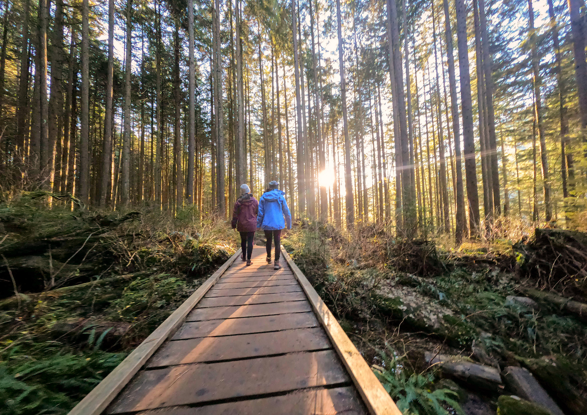 Two people walking together on a forest path