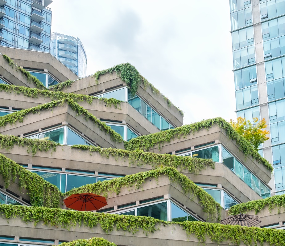 A rooftop lined with greenery in a downtown setting