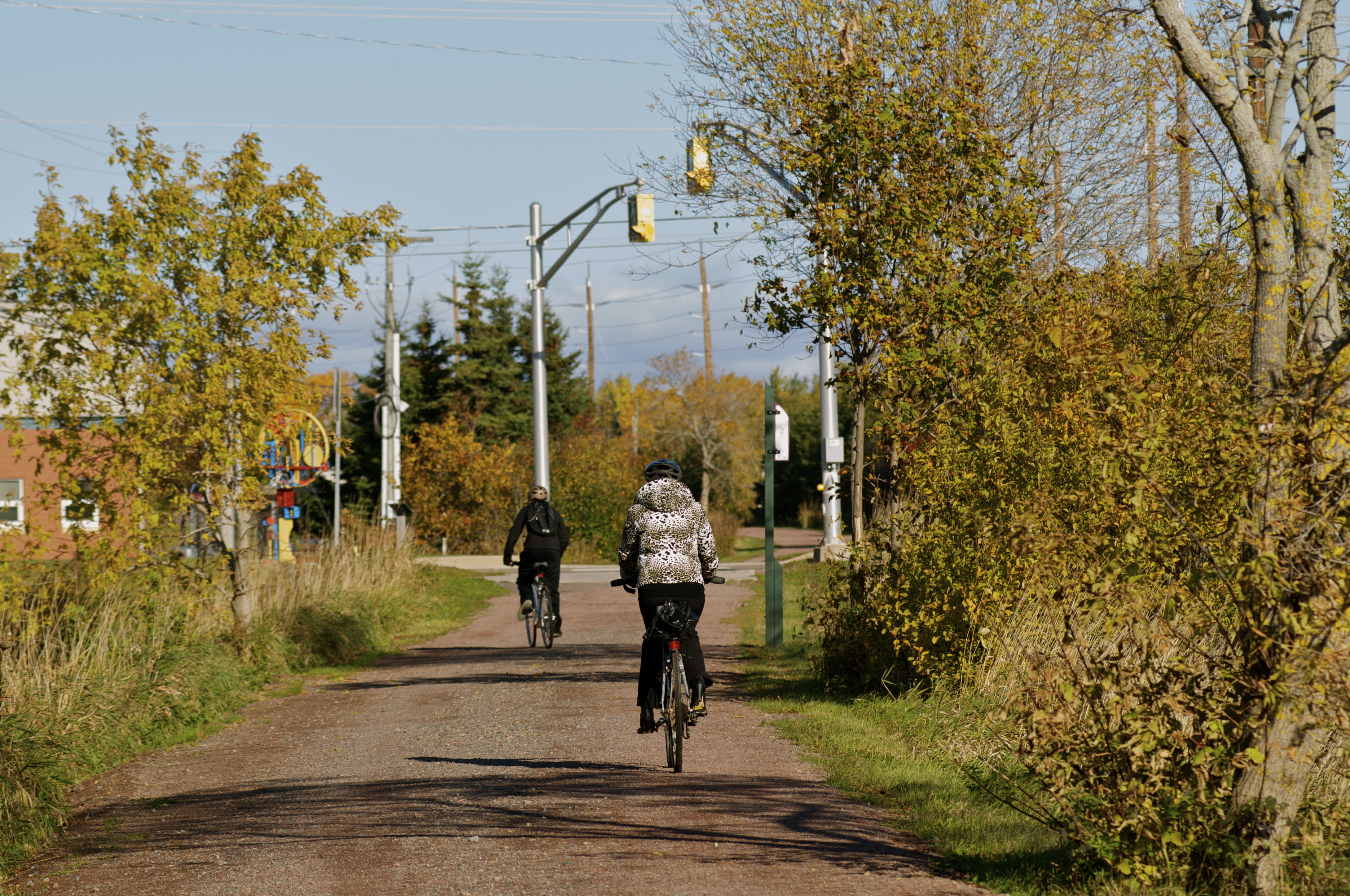 Cyclists riding down a tree-lined trail on a bright fall day 