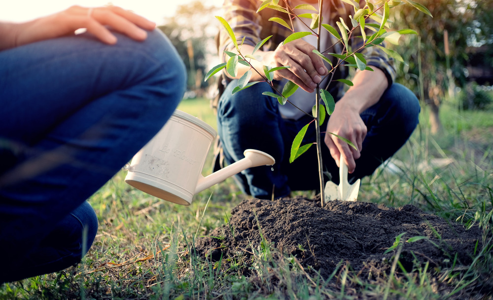 Deux personnes plantant un arbre