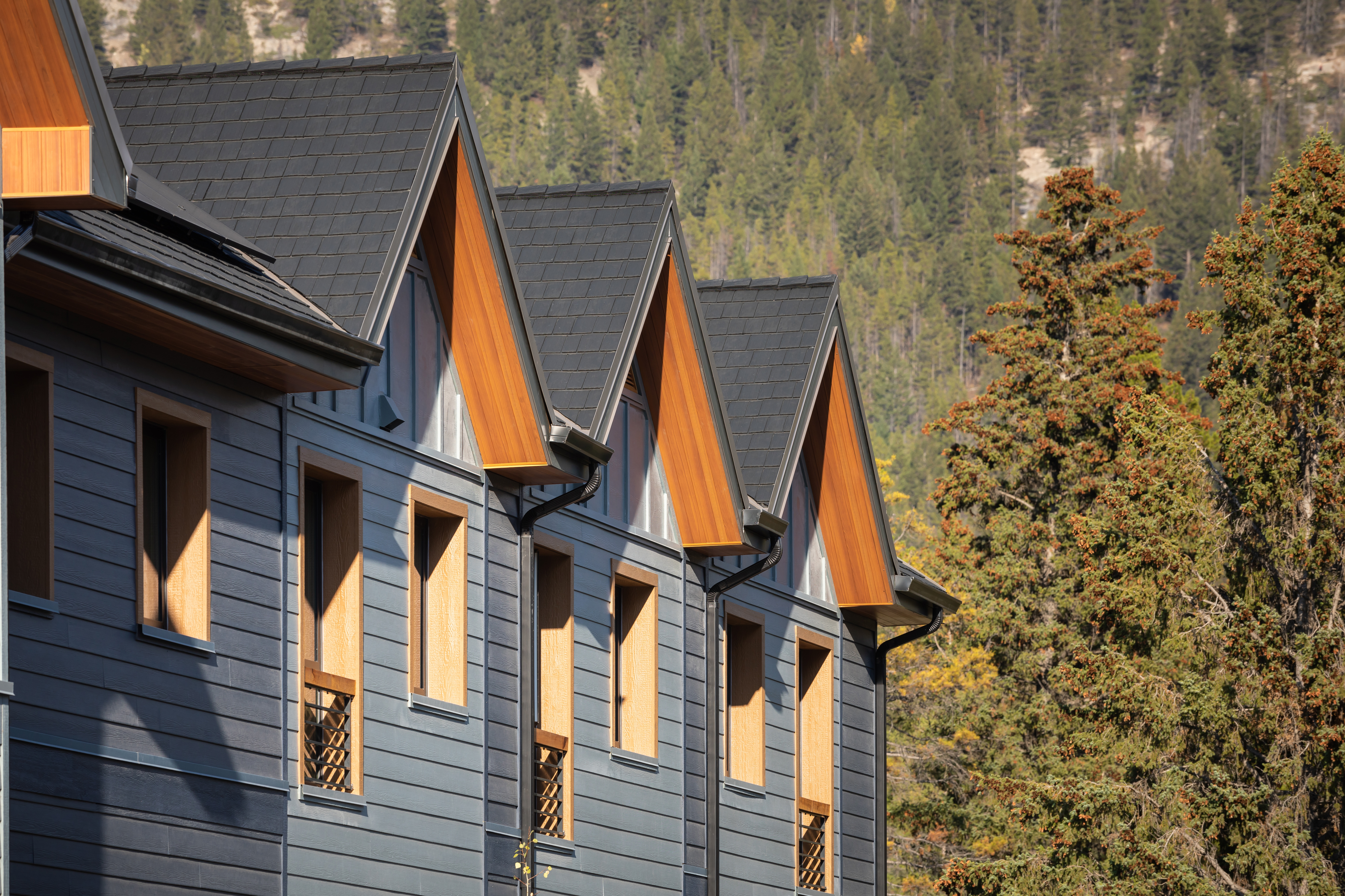 Vue rapprochée du lotissement Priscilla's Place à Banff, en Alberta, montrant de nouvelles maisons en rangée avec un bardage bleu et des bardeaux de toit noirs, avec des montagnes bordées d'arbres en arrière-plan.