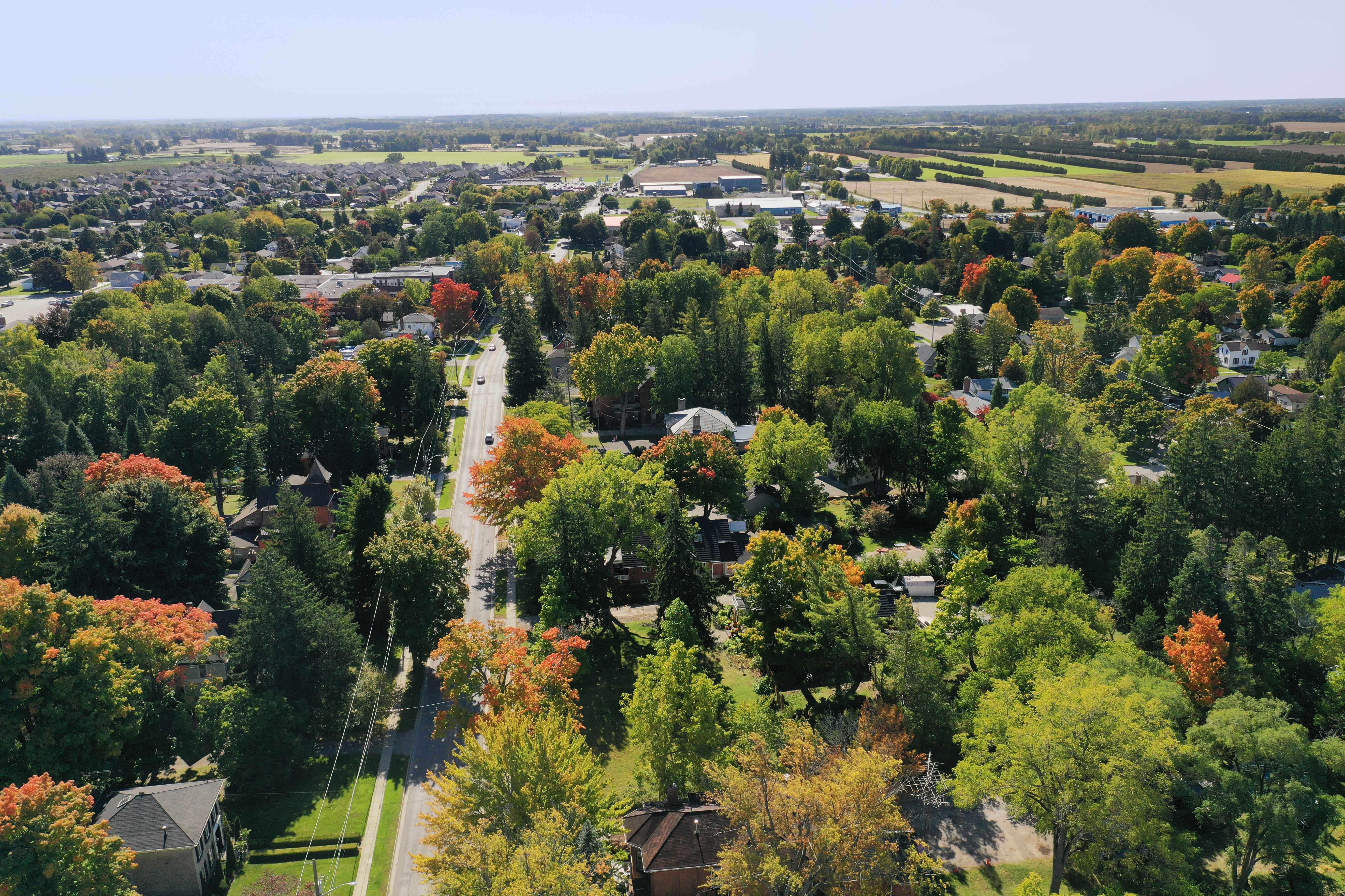 Croissance de la canopée des collectivités canadiennes (CCCC) 
