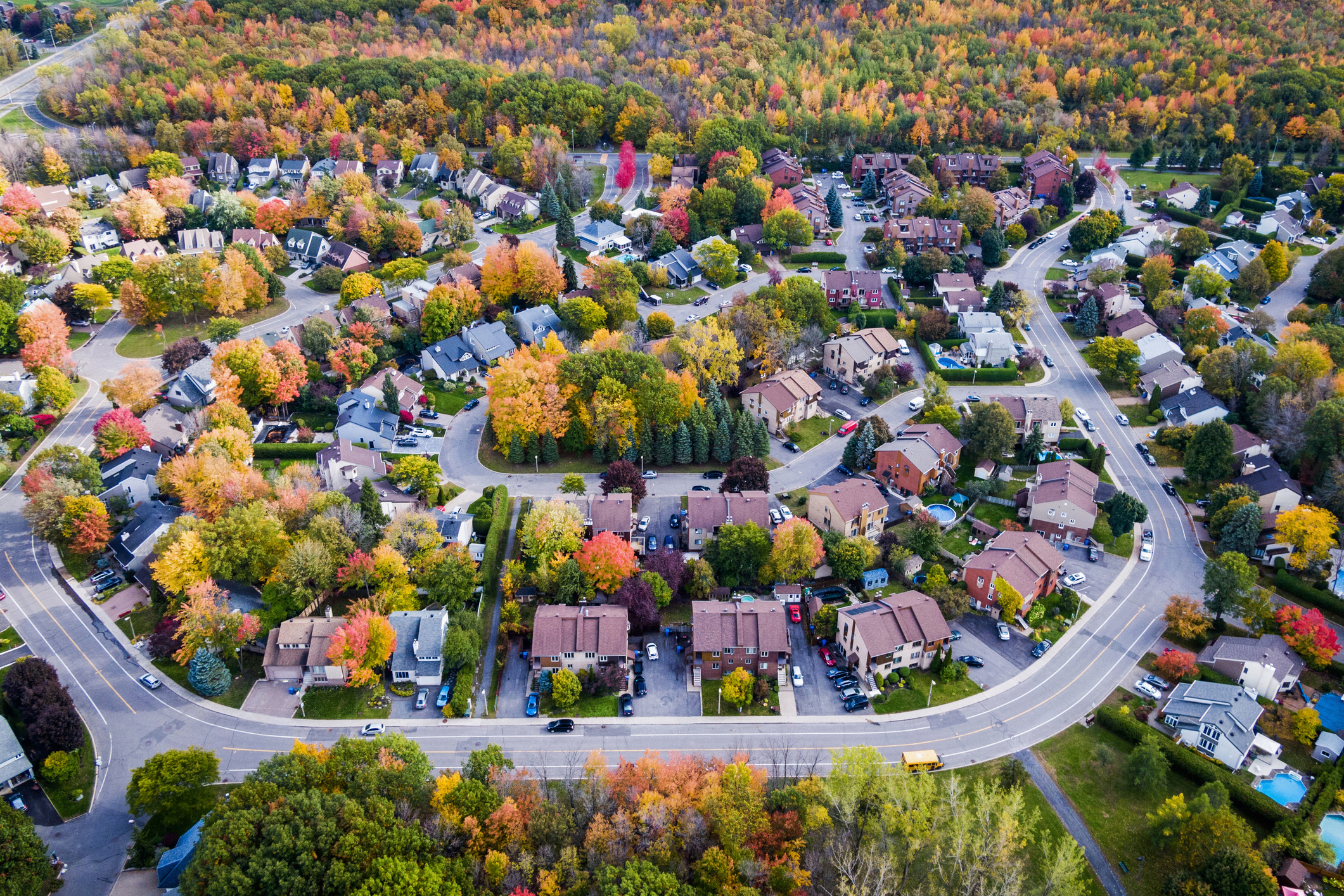 Vue aérienne d'un quartier résidentiel bordé d'arbres. 
