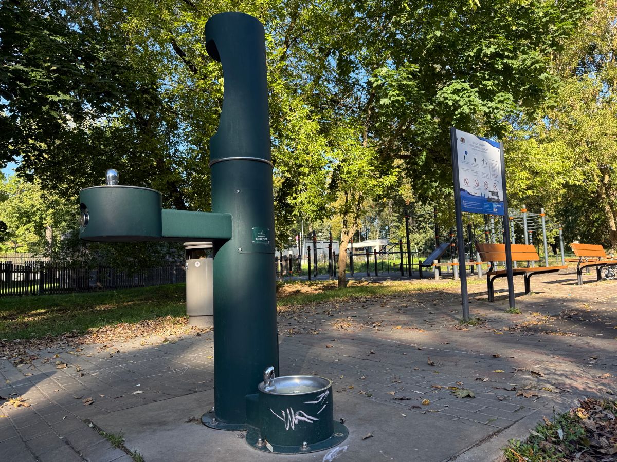 Standalone water fountain in a wooded park.