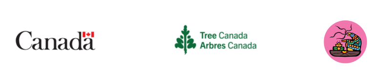 trees canada pipikwanpehtakwan logo block