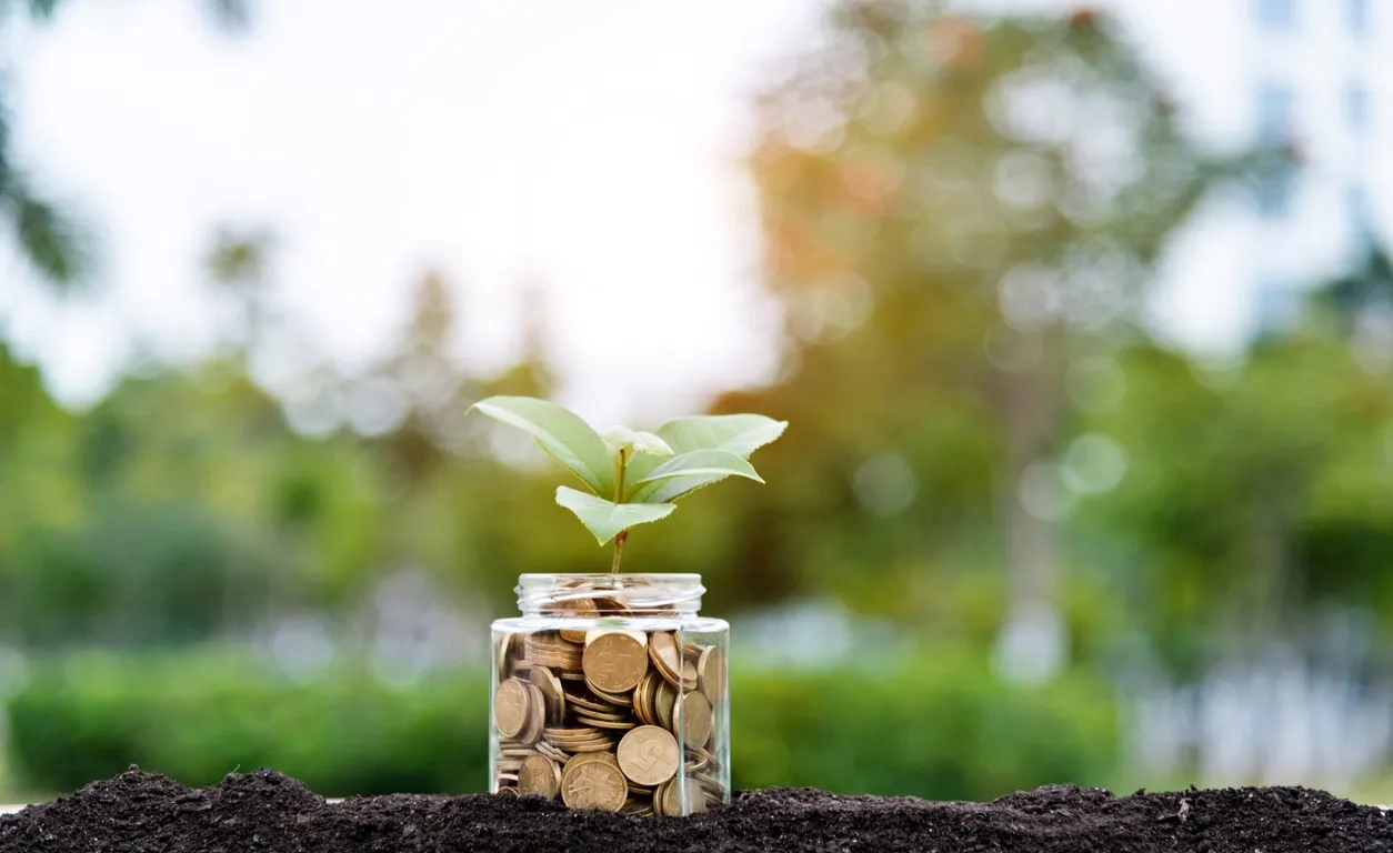 Jar filled with money and a plant growing out of it