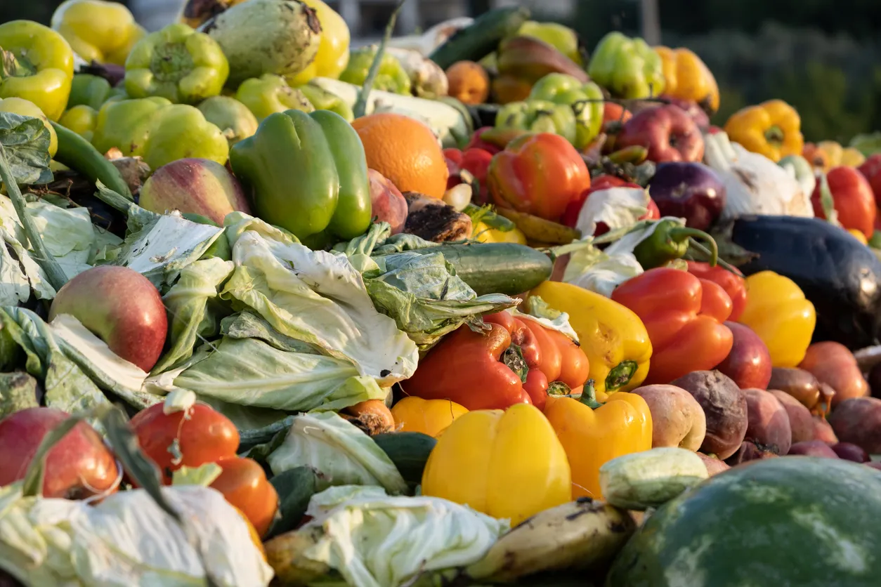 A large organic waste container filled with vegetables 