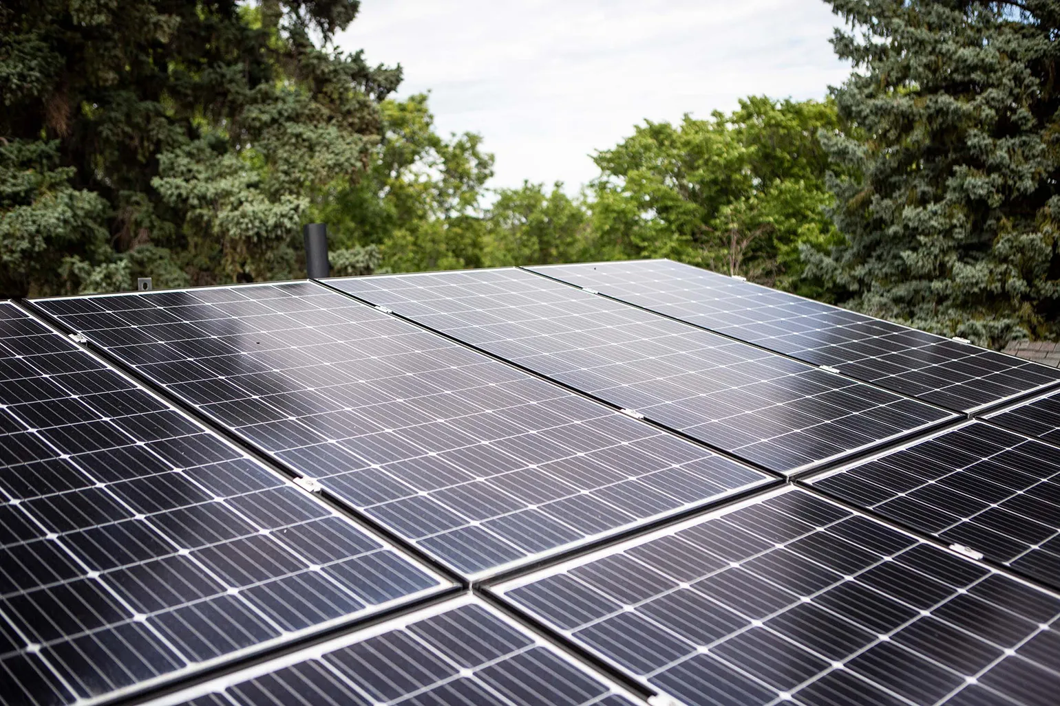A group of solar panels on a roof, with leafy trees in the background.