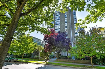 Front view of Brightside Community Home as seen from the street, framed by trees with sunlight casting a warm glow on the building