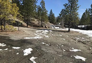 A bare, gravelly piece of land with patches of snow surrounded by conifer trees and with blue sky in background