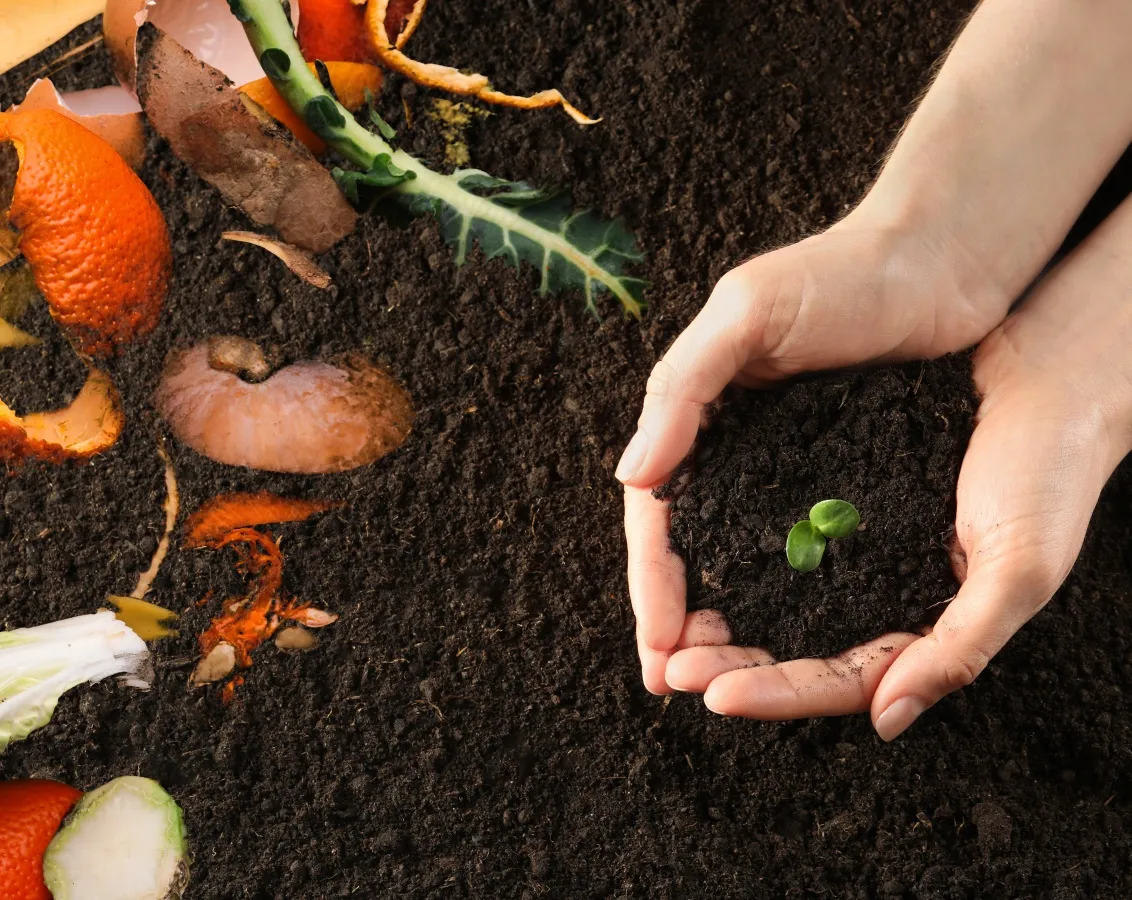 image Analyse de rentabilité : Valorisation énergétique des déchets organiques