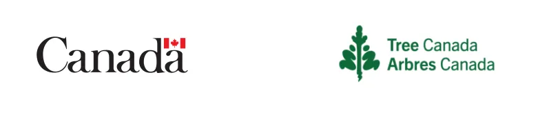 Canada - Tree Canada Logo