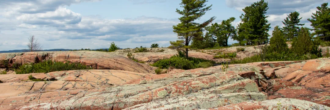 Marbled rocks in Georgian Bay, ON