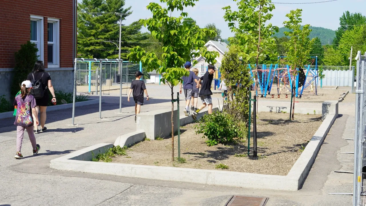 kids playing in school garden