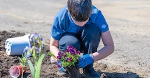 kid_planting