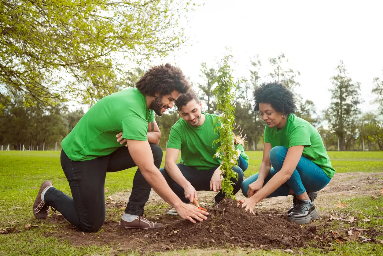 Three people taking care of a tree in a park.