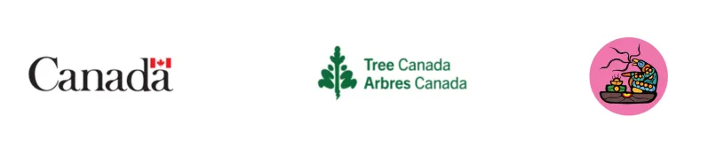 trees canada pipikwanpehtakwan logo block