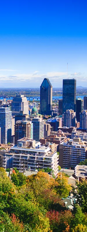 Aerial view of dense urban center surrounded by trees. 