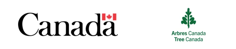 Logos Canada et Arbes Canada
