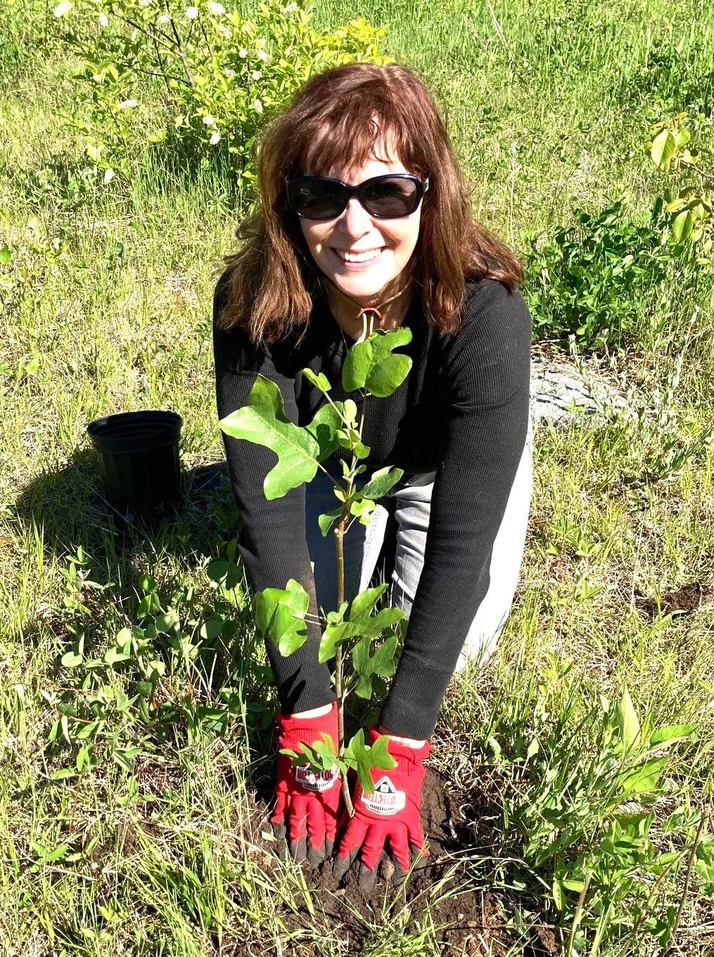 Photo of Barb Rabicki  Principal Owner,    Wild by Nature Forest Sanctuary 